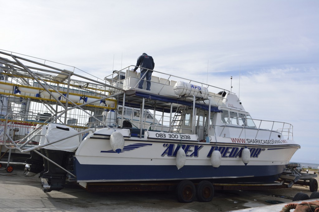 Shark Diving Boat