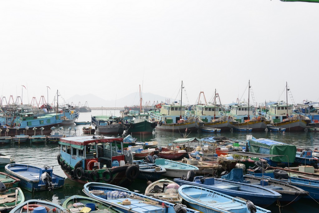 Cheung Chau Fish Fleet