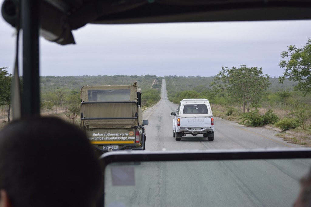 Open jeep carrying tourist in Kruger.