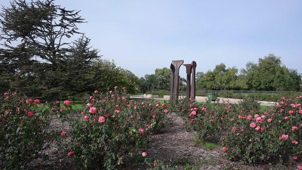 Wohl Rose Park