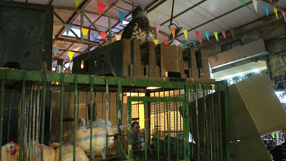 Old City Nablus Market Souqs