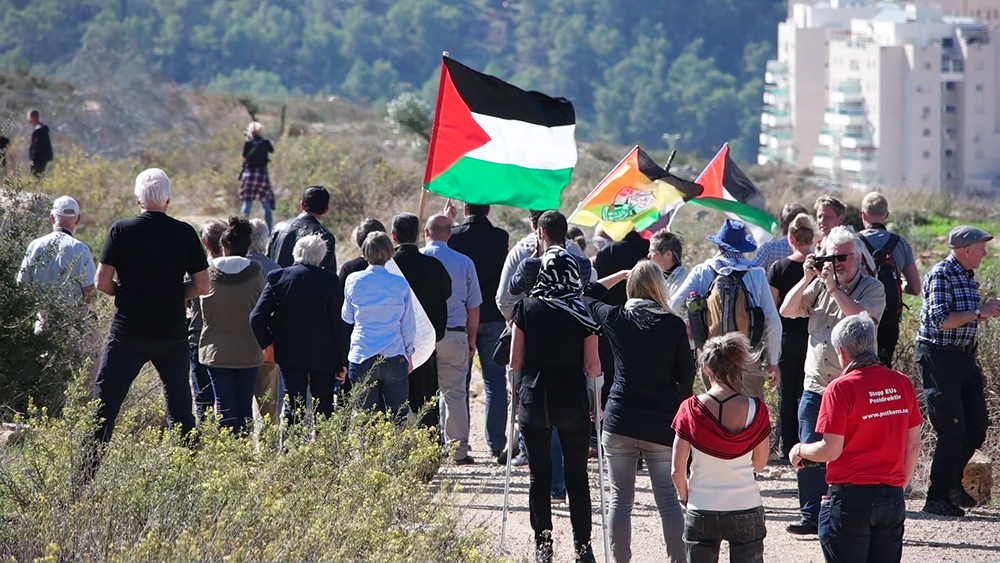 Weekly Protest in Bi'lin