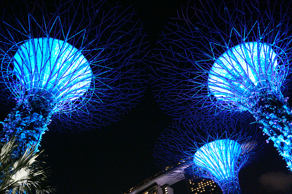 The Supertree Grove at Gardens by the Bay